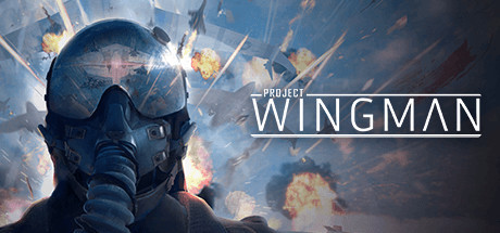 Игра Project Wingman