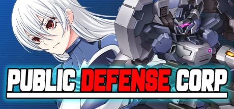 Купить игру Public Defense Corp