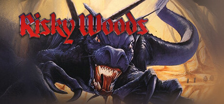 Игра Risky Woods