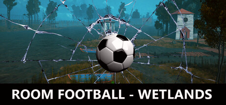 Игра ROOM FOOTBALL - Wetlands