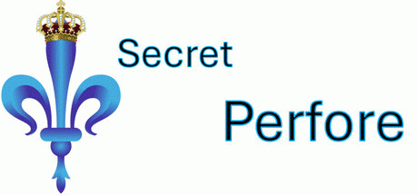 Купить игру Secret Perfore