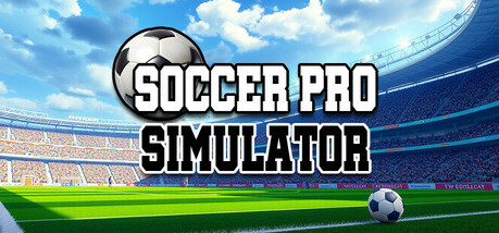 Игра Soccer Pro Simulator