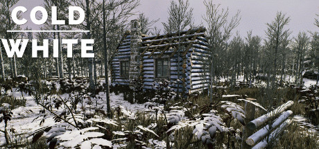 Игра The Cold White