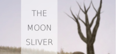 Игра The Moon Sliver