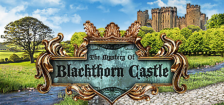Игра The Mystery of Blackthorn Castle