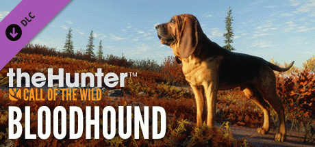 Игра theHunter: Call of the Wild - Bloodhound