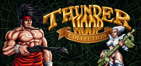 Игра Thunder Hoop Collection (QUByte Classics)