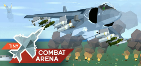 Игра Tiny Combat Arena