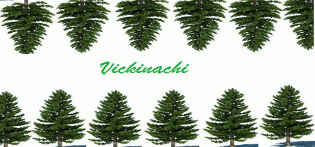 Купить игру Vickinachi