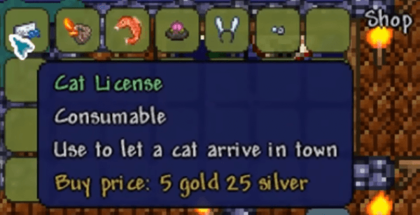 Terraria: как получить Разрешение на кота