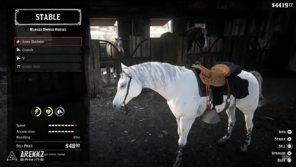 Red Dead Redemption 2: где найти лучшую дикую лошадь