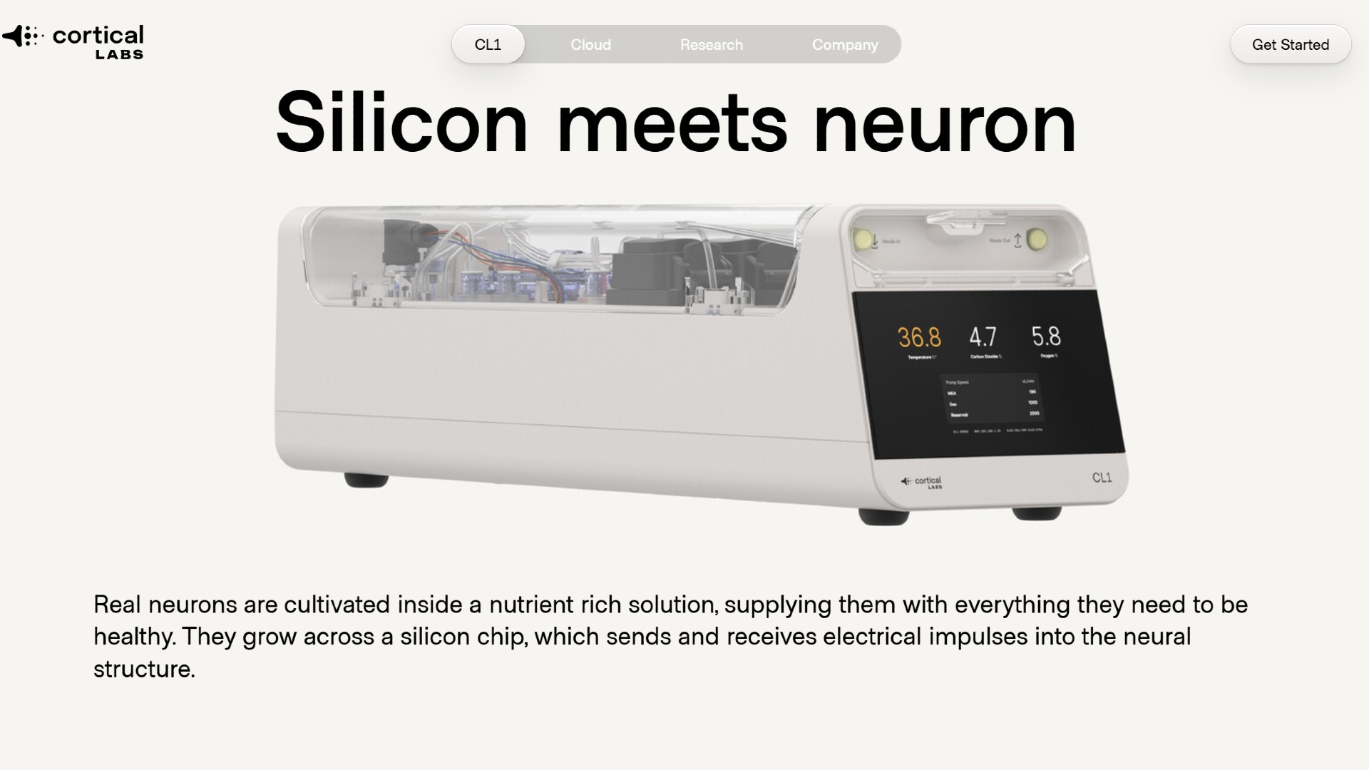 Учёные запустили Doom на чипах с 200 000 человеческих нейронов — и эти клетки ещё и сами в него играют