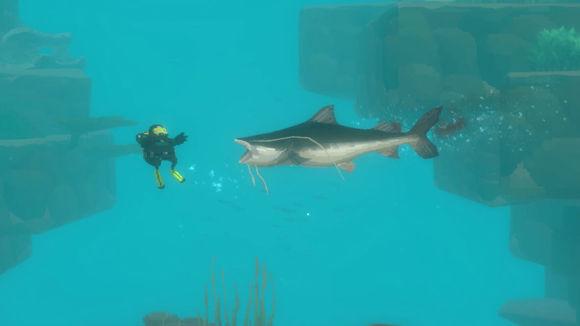 Как получить удочку в Dave the Diver: In the Jungle