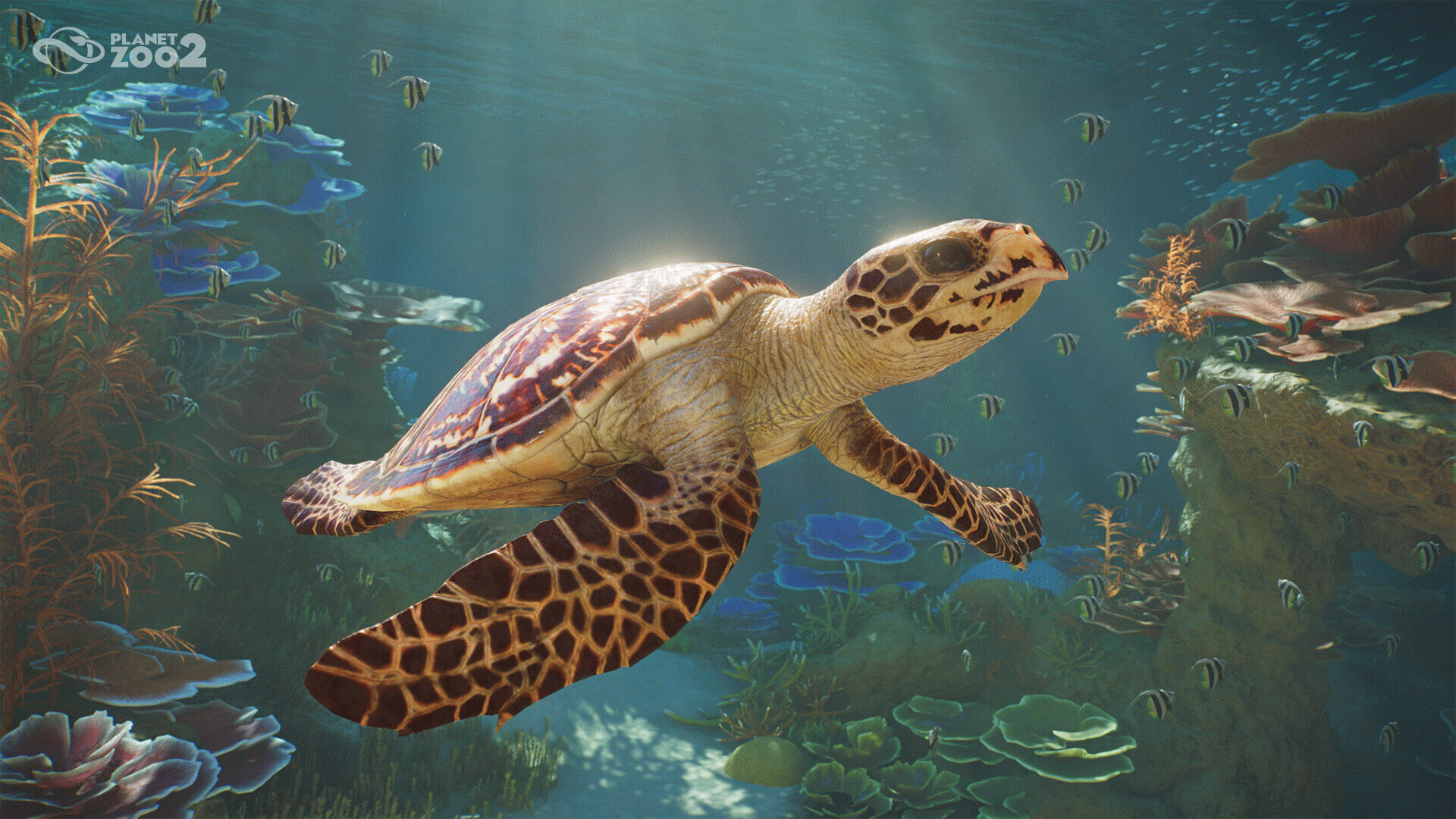Анонсирована Planet Zoo 2 с новой водной фауной и вольерами для птиц