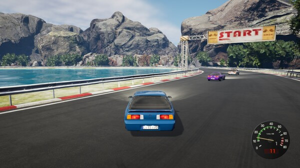 Игра 307 Racing, скриншот