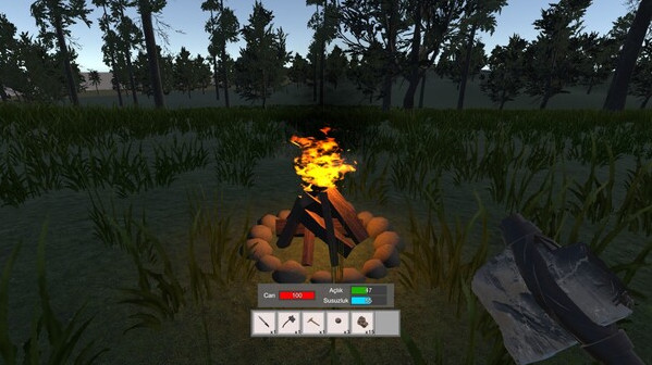 Игра Accursed Isle: Survival, скриншот
