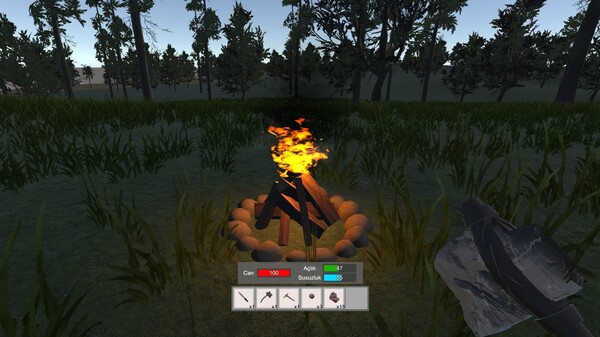 Игра Accursed Isle: Survival, скриншот