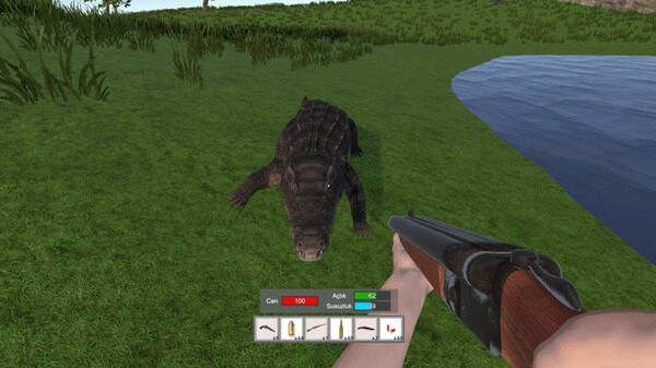 Игра Accursed Isle: Survival, скриншот