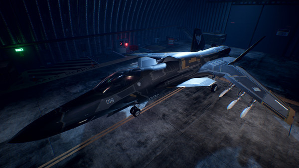 Игра ACE COMBAT 7: SKIES UNKNOWN – ASF-X Shinden II Set, скриншот