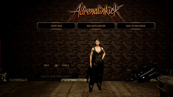 Игра Adrenalinkick, скриншот