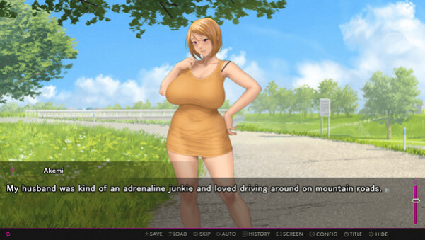 Игра Afternoon Affairs & Helpless Housewives, скриншот