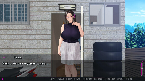 Игра Afternoon Affairs & Helpless Housewives, скриншот
