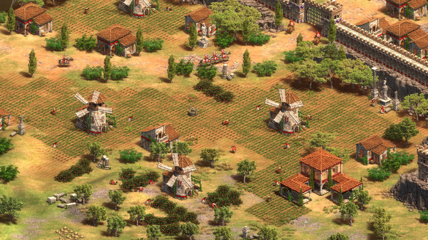 Игра Age of Empires II, скриншот