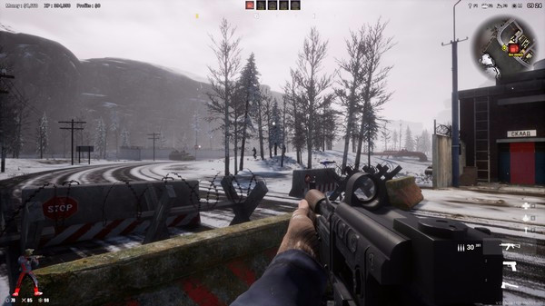 Игра Анархия: Волчьи законы, скриншот