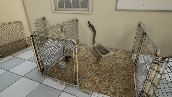 Игра Animal Doctor, скриншот