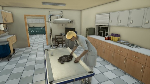 Игра Animal Doctor, скриншот