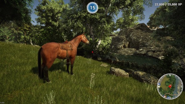 Игра Animal Doctor, скриншот
