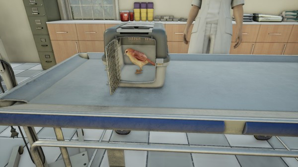 Игра Animal Doctor, скриншот