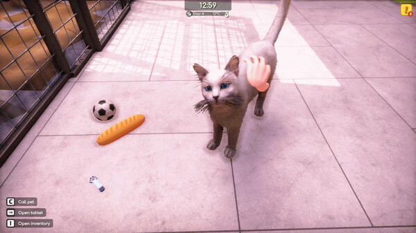 Игра Animal Shelter 2, скриншот