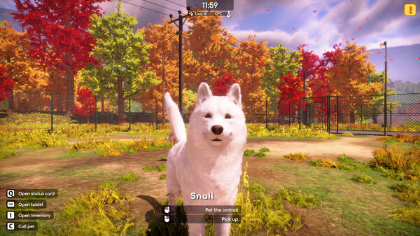 Игра Animal Shelter 2, скриншот