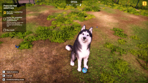 Игра Animal Shelter 2, скриншот
