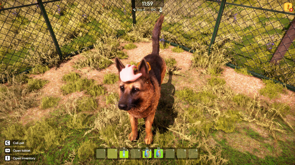 Игра Animal Shelter 2, скриншот