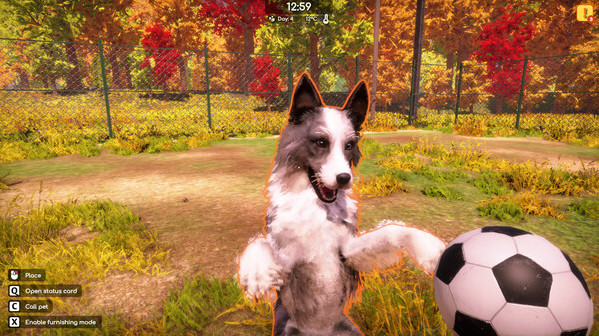 Игра Animal Shelter 2, скриншот