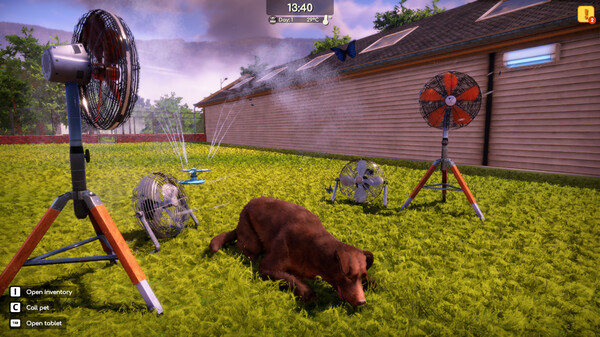 Игра Animal Shelter 2, скриншот