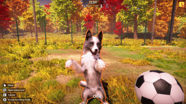 Игра Animal Shelter 2, скриншот