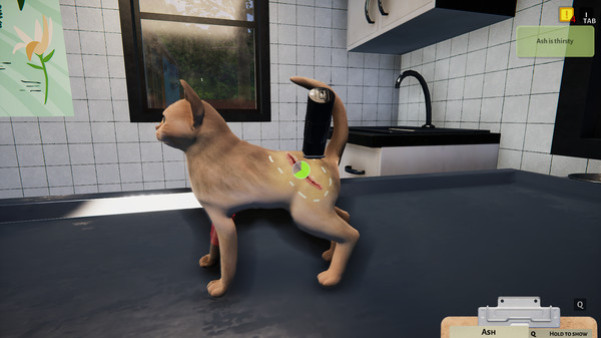 Игра Animal Shelter - Puppies & Kittens DLC, скриншот
