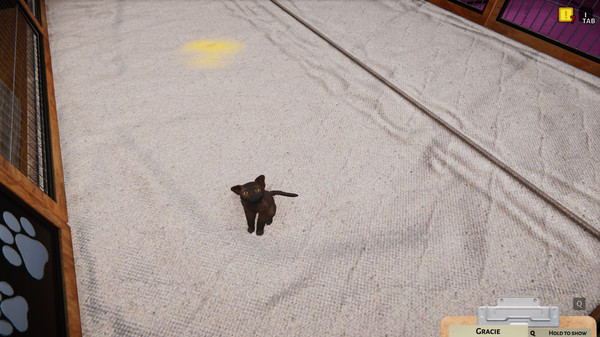 Игра Animal Shelter - Puppies & Kittens DLC, скриншот
