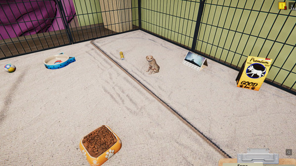 Игра Animal Shelter - Puppies & Kittens DLC, скриншот