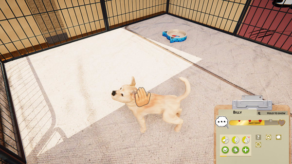 Игра Animal Shelter - Puppies & Kittens DLC, скриншот