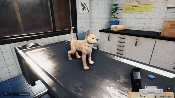 Игра Animal Shelter - Puppies & Kittens DLC, скриншот