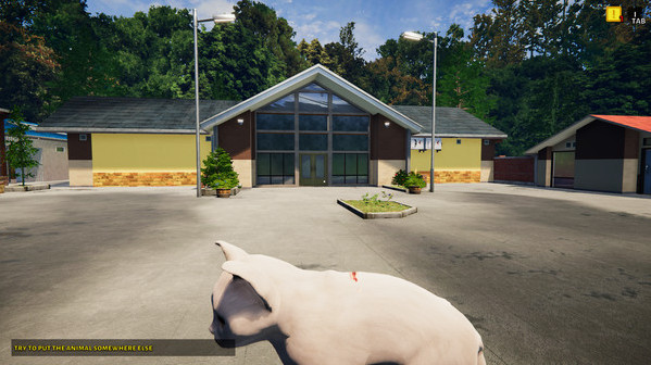 Игра Animal Shelter - Puppies & Kittens DLC, скриншот