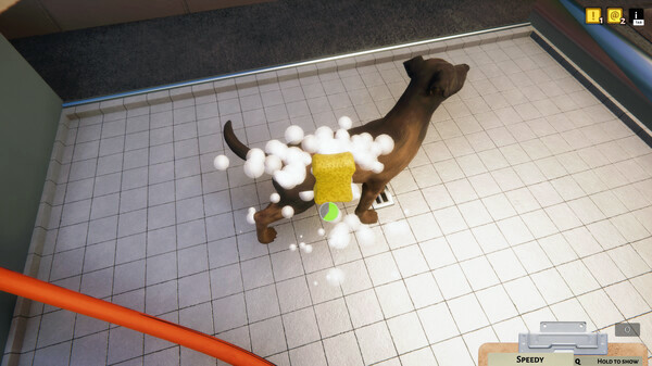 Игра Animal Shelter, скриншот