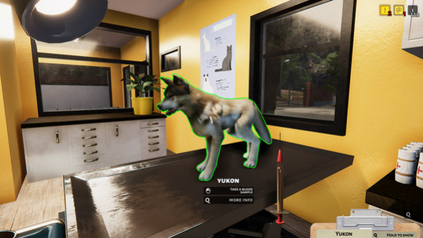 Игра Animal Shelter, скриншот