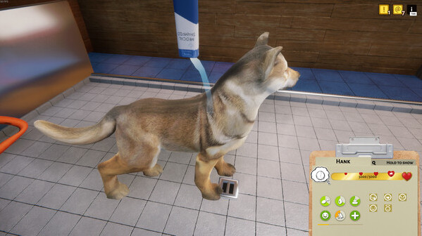 Игра Animal Shelter, скриншот