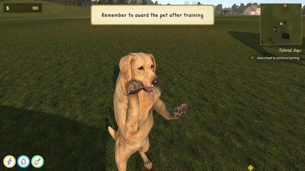 Игра Animal Trainer Simulator, скриншот