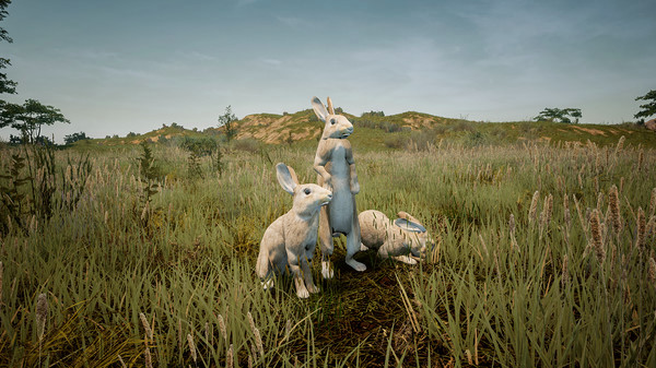 Игра Animalia Survival EggHunt, скриншот